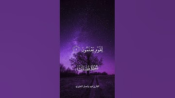 تلاوة هادئة للقارئ فهد واصل المطيري