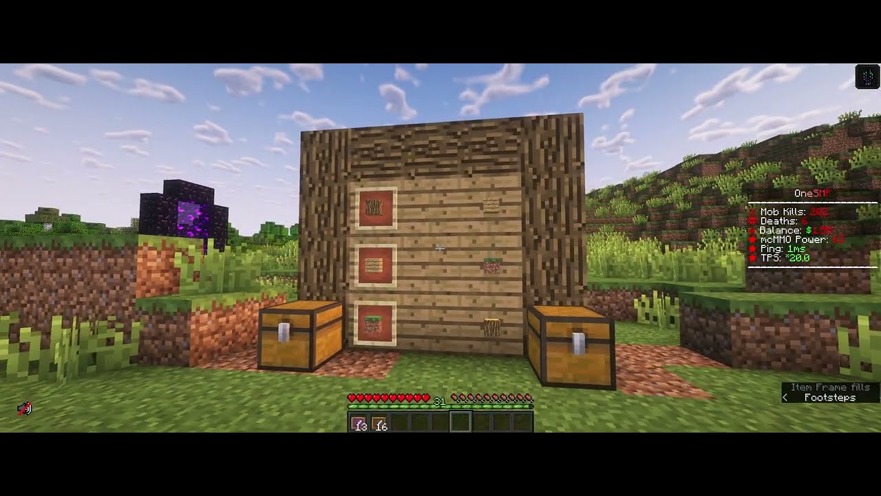 OneSMP Guide: How to use ImageFrame Plugin to create Invisible Item Frames
