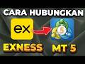 Daftar Exness | Cara Menghubungkan Exness ke Metatrader 5 #Exness