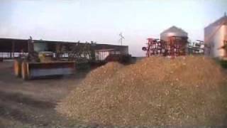Corn Silage Harvest 2009