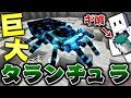 【マインクラフト】巨大タランチュラ登場！ボス相手にギ酸が最強すぎる！？ #7【虫クラ】