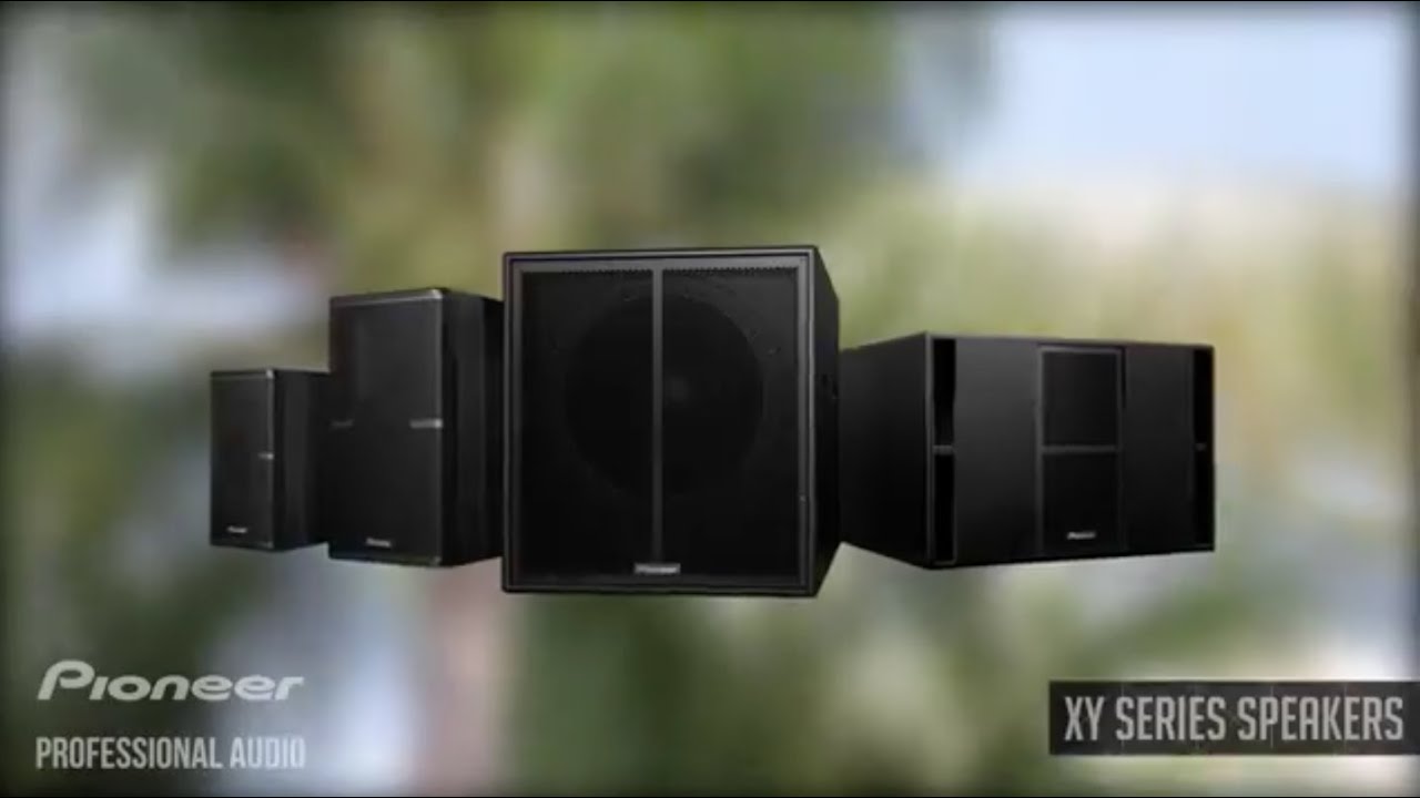 pioneer professional speakers
