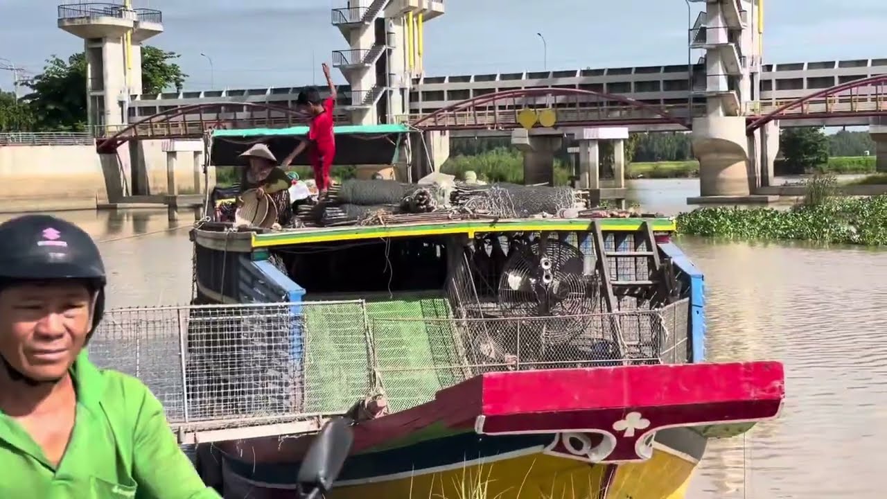 Full Video: Amazing Red Ducks Leave the Boat & Spread into Fields for Feeding 🦆🌾⛵ Farm Life Vietnam
