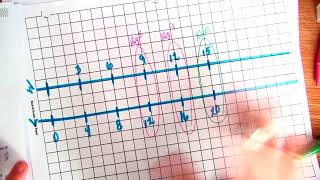 TOC 19: Ratio Performance Task