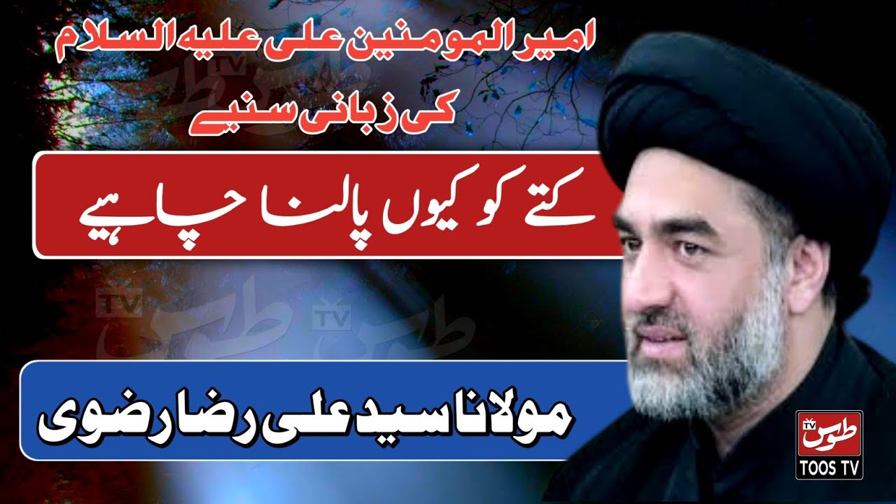 Kuty Ko Kuon Palna Chahey | Maulana Ali Raza Rizvi #toostv #allamaalirazarizvi #dog