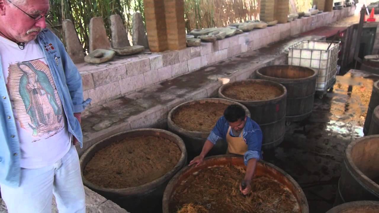 Tech Notes remixing fermenting agave video player