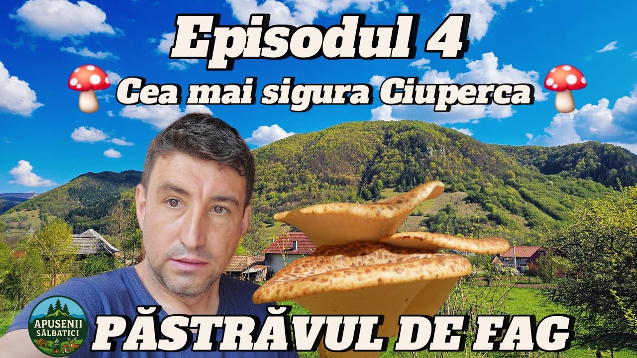 Cele Mai Bune Ciuperci Comestibile din Apuseni – Natură și Tradiție | Ep. 4