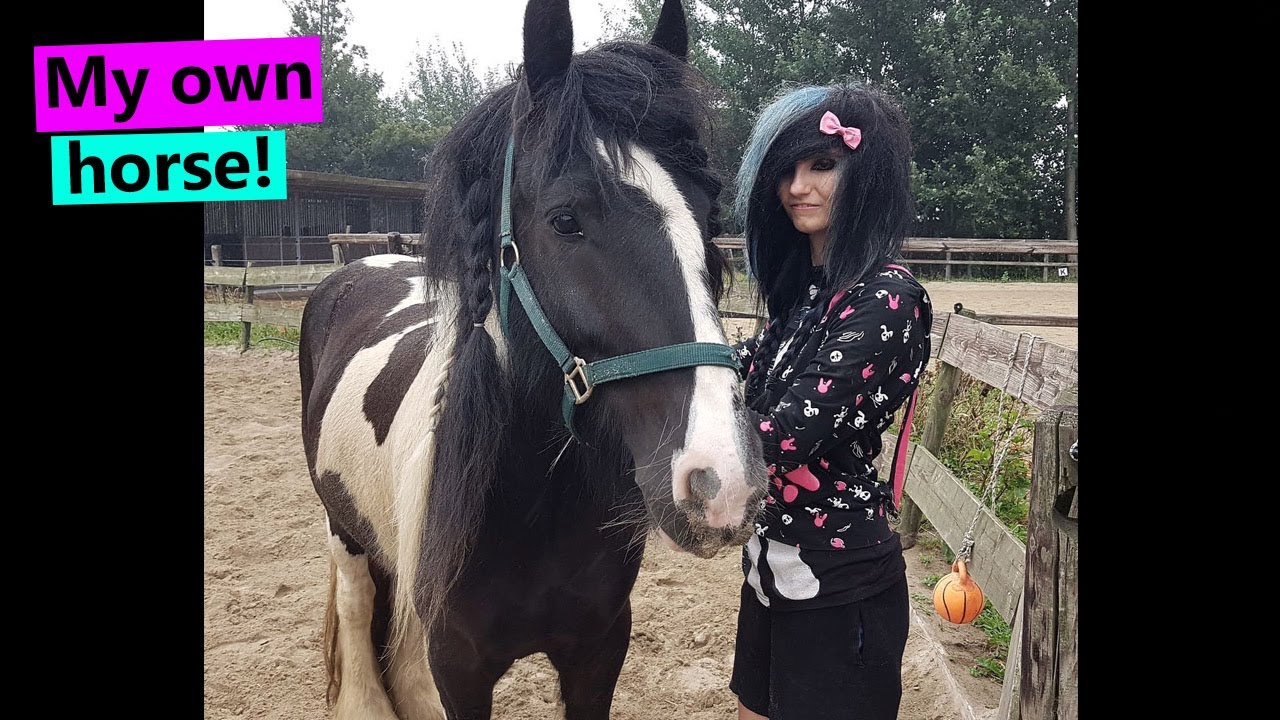 I Bought A Horse! - YouTube