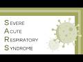Free - Severe Acute Respiratory Syndrome (SARS) for PowerPoint and Google Slides