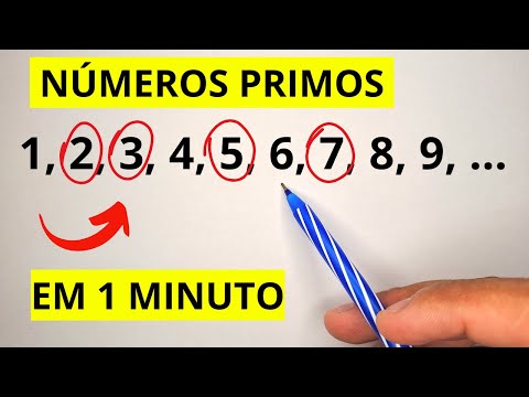LEARN PRIME NUMBERS IN 1 MINUTE