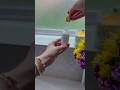 💆♀️POV giving you self-care #asmr #asmrsounds #pov #selfcare #asmrvideo #satisfyingasmr #relaxing