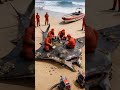 Emotional Rescue: Heroic Rescuers Saving Manta Ray Fish from Pain #shorts #viral #animalrescue