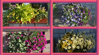 видео: Цветочные миксы. Вторая часть. 2021 год. картинка: Цветочные миксы. Вторая часть. 2021 год.