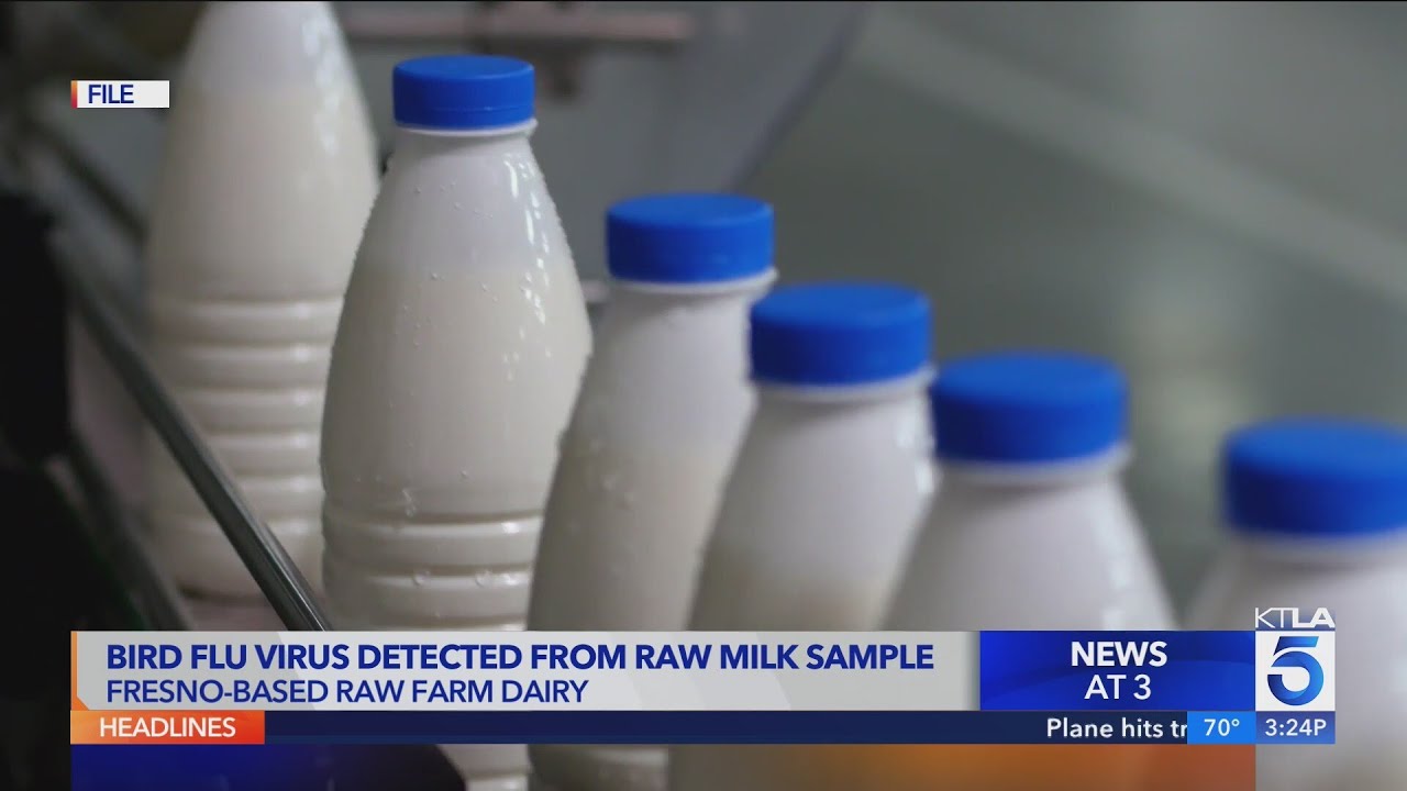 Bird flu detected in raw milk sold in California, health officials say