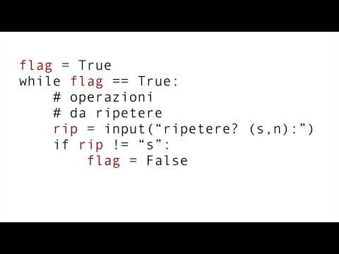 Python il ciclo while con variabile flag