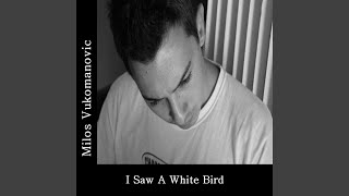 Watch Milos Vukomanovic I Saw A White Bird video