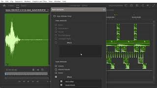 Audio Effects In Premiere Pro