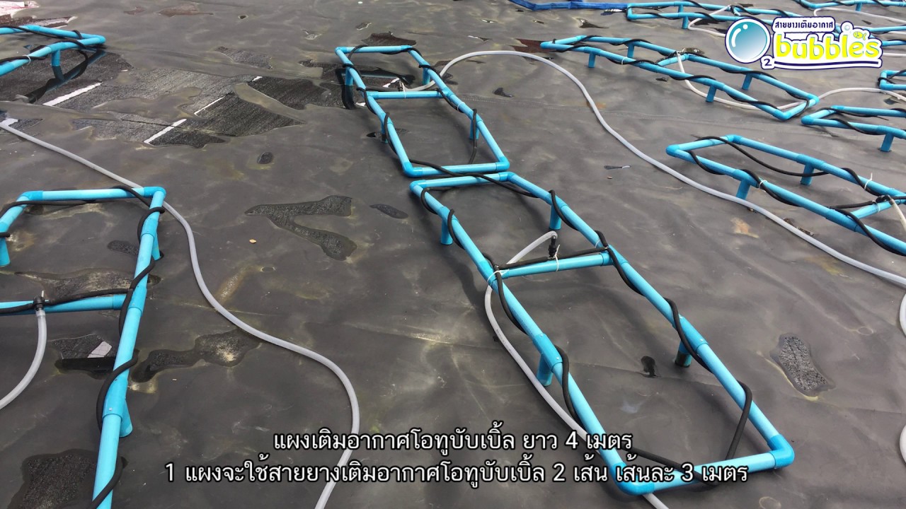 การเสริมออกซิเจนใต้น้ำ จาก แผงเติมอากาศโอทูบับเบิ้ล ในบ่ออนุบาลและบ่อเลี้ยง จ.ตราด
