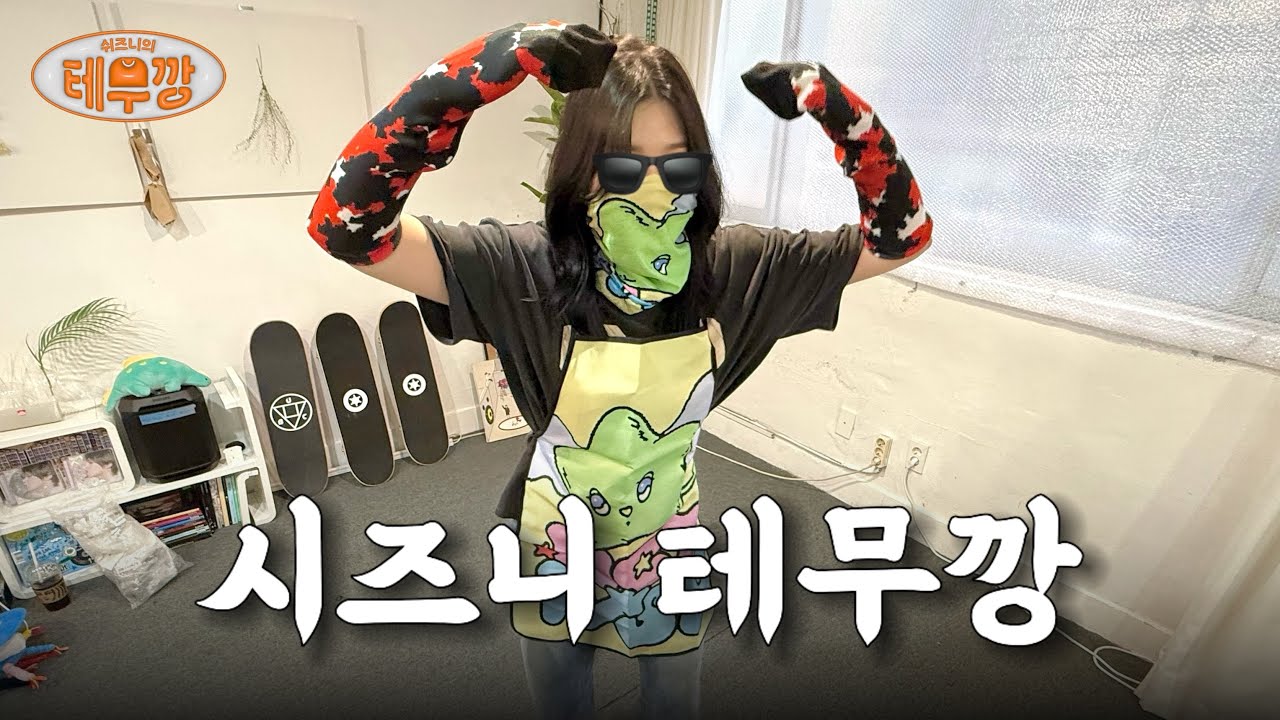 아니 깅까 나도 내가 이걸 사게 될 줄 몰랐다고 🤷🏻‍♀️ | 테무 | 시즈니 | 덕질 | 테무깡 | 쇼핑하울