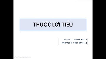 DƯỢC LÝ [CTUMP] - Thuốc Lợi Tiểu | ThS.BS Lê Kim Khánh