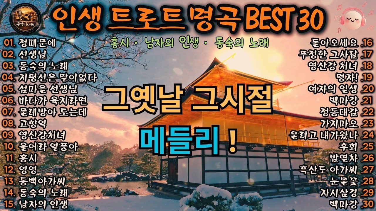 🎧 인생 트로트 명곡 BEST 30 │ 홍시 · 남자의 인생 · 동숙의 노래 · 고향역 외 중장년이 사랑한 추억의 트로트 히트곡 모음 연속재생