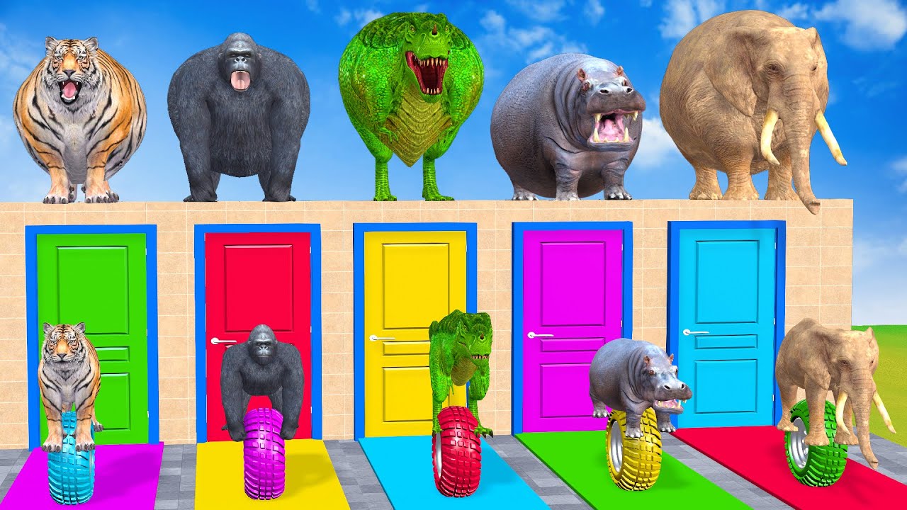 Long Slide Game With Cow Elephant Gorilla Hippopotamus Tiger - 3d Animal Game - Funny 3d Animals