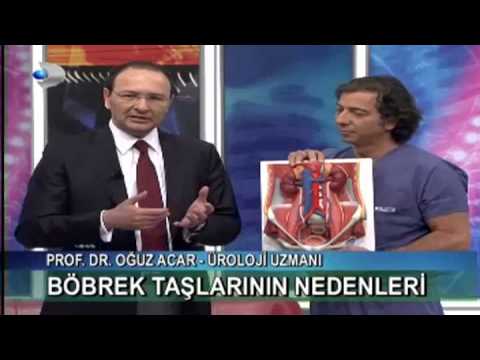 Video: Gelinciklerde Anormal Büyüklükte Böbrekler