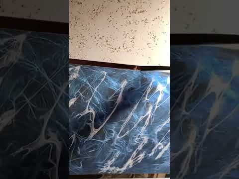 عملت من الفسيخ شربات فرحت عريس غير مقتدر بمواد بسيطة