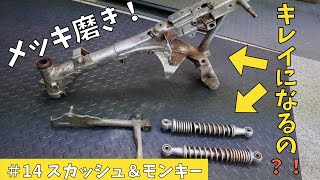 #14 スカッシュ＆モンキー メッキモンキー復活への道！その１