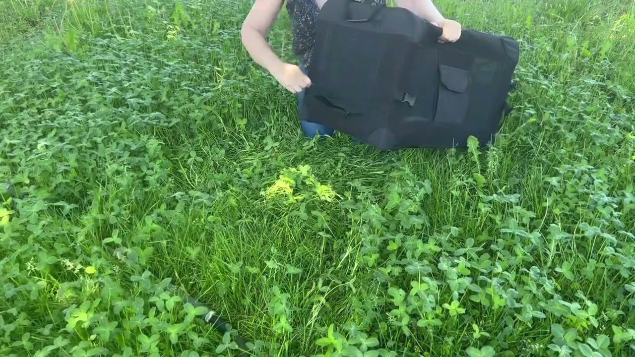 Folding Crate for Cats 