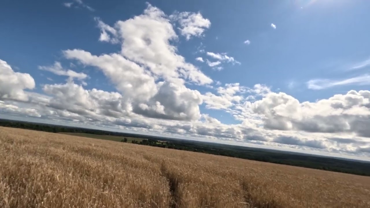 Какой вид самая высокая точка Удмуртии 