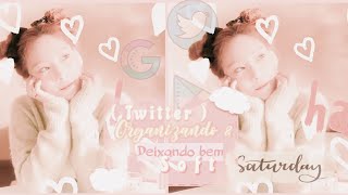 ꗃ (Twitter) Organizando e deixando o perfil bem soft ◍⃘🥡⊰᮫̣  ݂ screenshot 2
