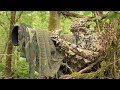 Bird photography in the forest  wildlife photography behind the scenes  nikon z7 ftz camouflage