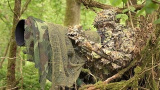 BIRD PHOTOGRAPHY in the forest | Wildlife photography behind the scenes  Nikon Z7, FTZ, camouflage