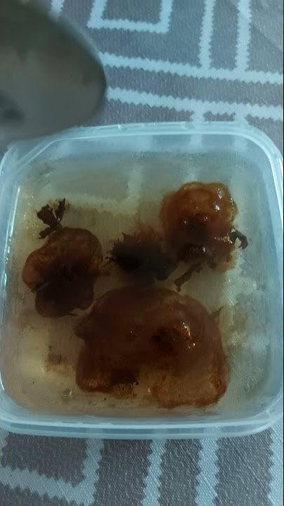Buah kembang seTupperware