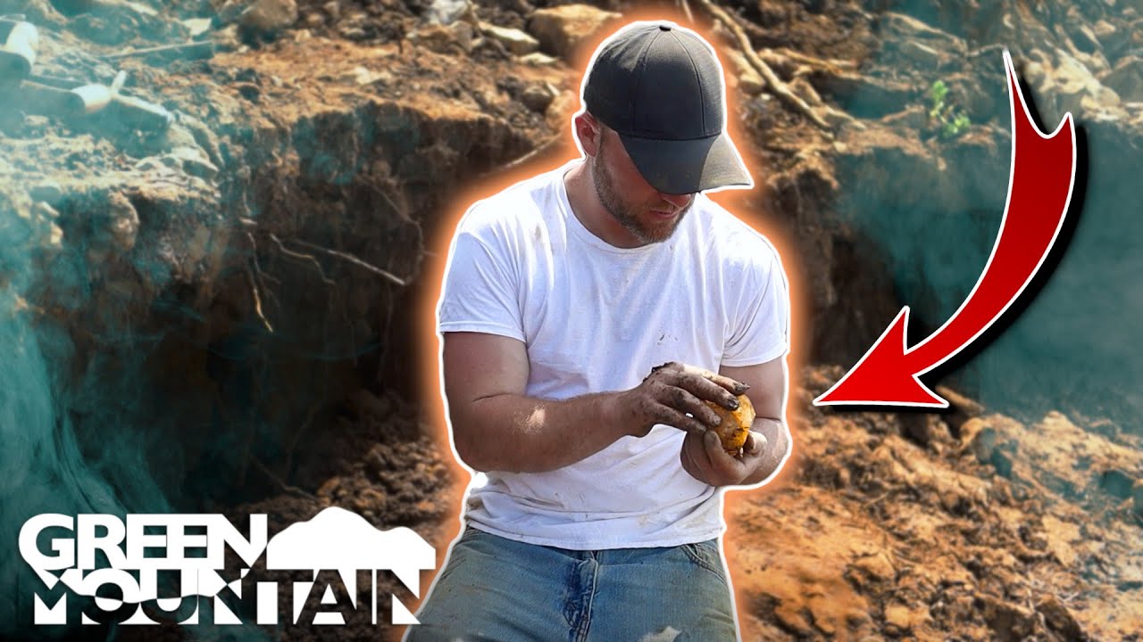 На заднем дворе обнаружен клад, изменивший жизнь