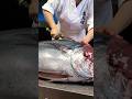 The Master’s Stroke: Precision Tuna Filleting #8k #animatedshorts