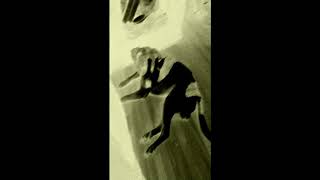 Joseph Harper-October Watch