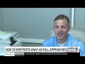 Local pest control expert shares fall prevention tips for homes and apartments