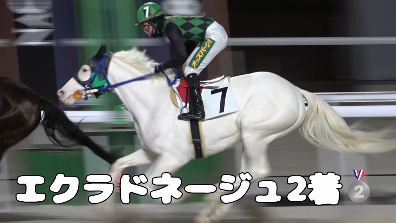 【白毛】2026年1月26日名古屋競馬場9Rエクラドネージュ2着