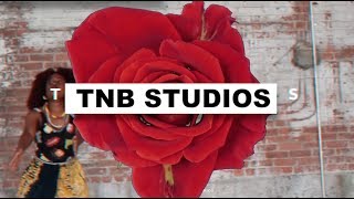 TNB Studios: Docs, Music & Life