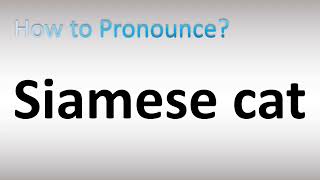 How to Pronounce Siamese Cat