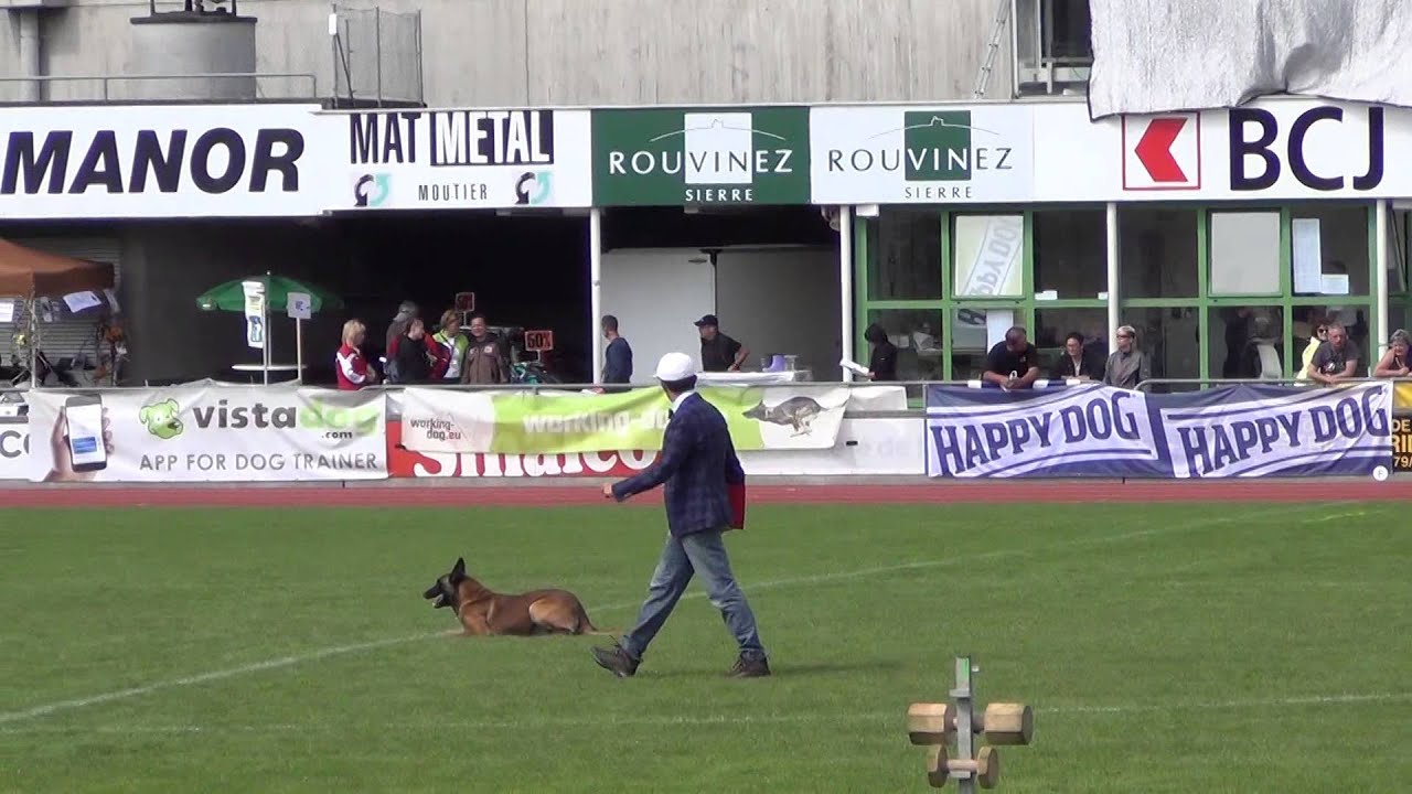 FCI IPO WC 2015 Azart iz Komandy Azart B89