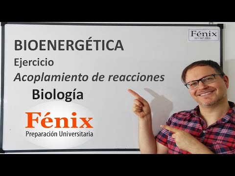 Video: ¿Qué es el acoplamiento energético en biología?