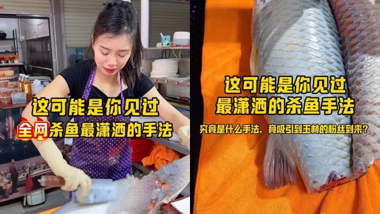 这可能是你见过全网杀鱼最潇洒的手法 这可能是你见过全网杀鱼最潇洒的手法#起鱼鳞第一人 #第一次见 #高手在民间 #同款小刀#起鱼鳞 #杀鱼西施 ...
