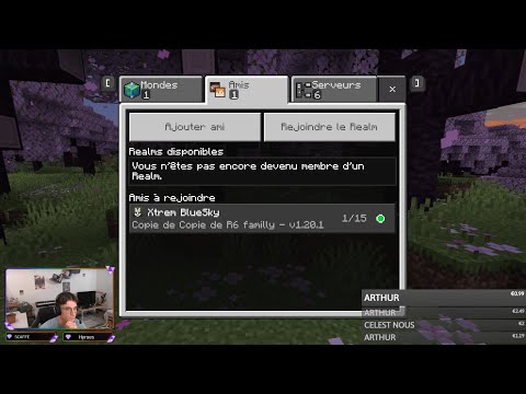 Minecraft avec les smoothies