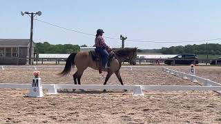 WDAA level 1 test 2 May IEO
