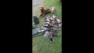 2023.09 Basti Dora Duck Hunting In The Czech Republic.