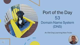 Port of the Day - DNS Port 53 Port of the Day - DNS Port 53