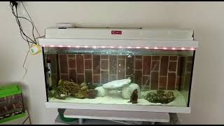 daha yeni başladım ama sizle büyük şeyler başaracaz